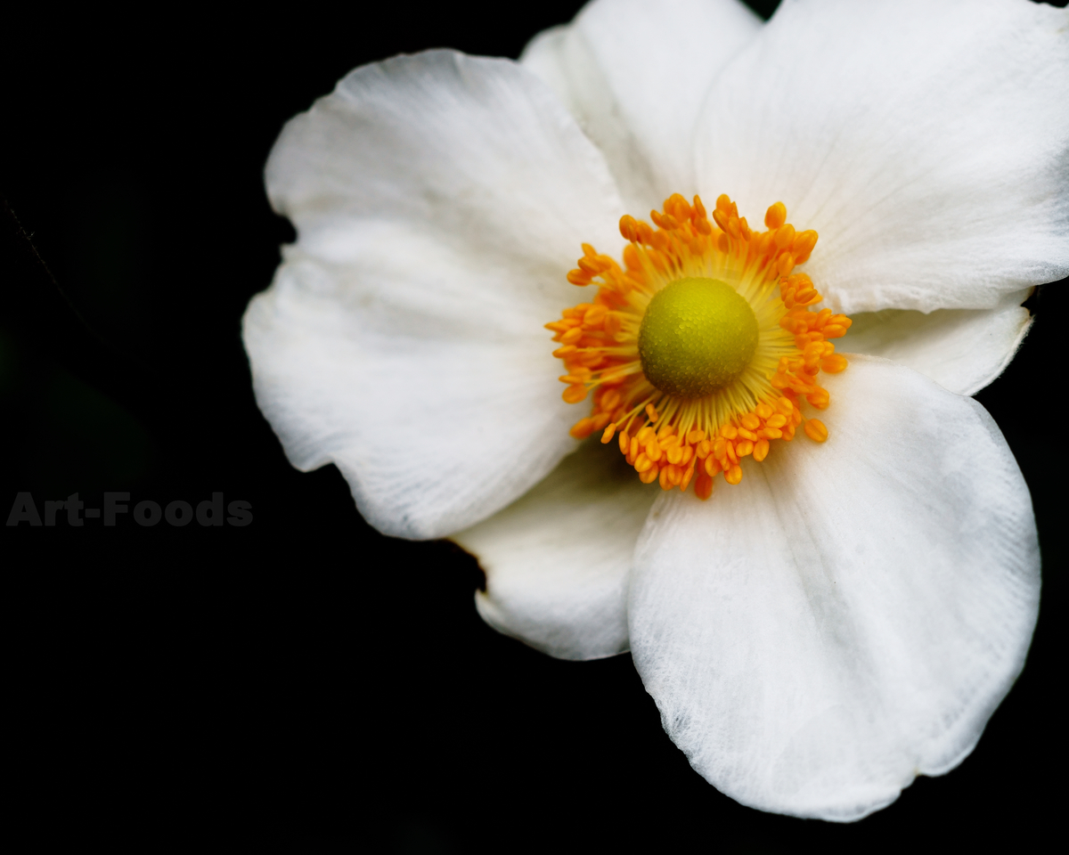 f:id:artfoods:20201006052053j:plain f:id:artfoods:20201006052053j:plain
