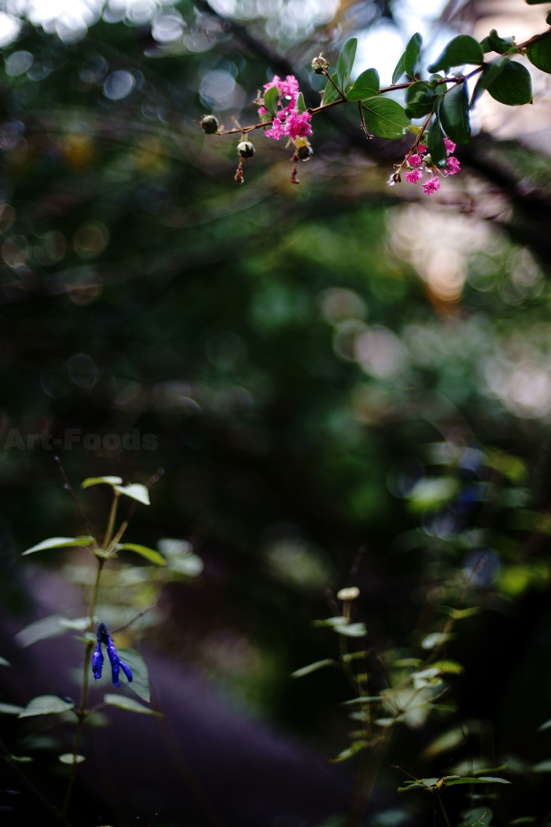 f:id:artfoods:20201027043512j:image:w640 f:id:artfoods:20201027043512j:image:w640