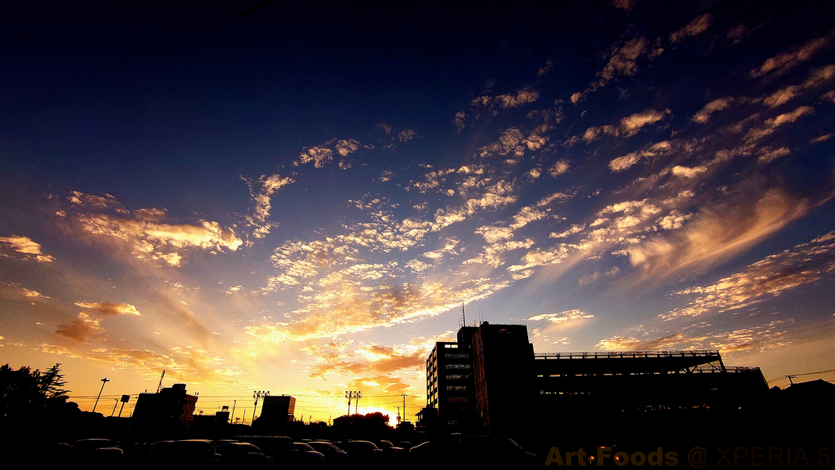 香貫陵の夕暮れ_201105