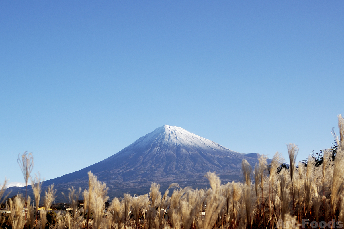 MtFuji_201128_0740