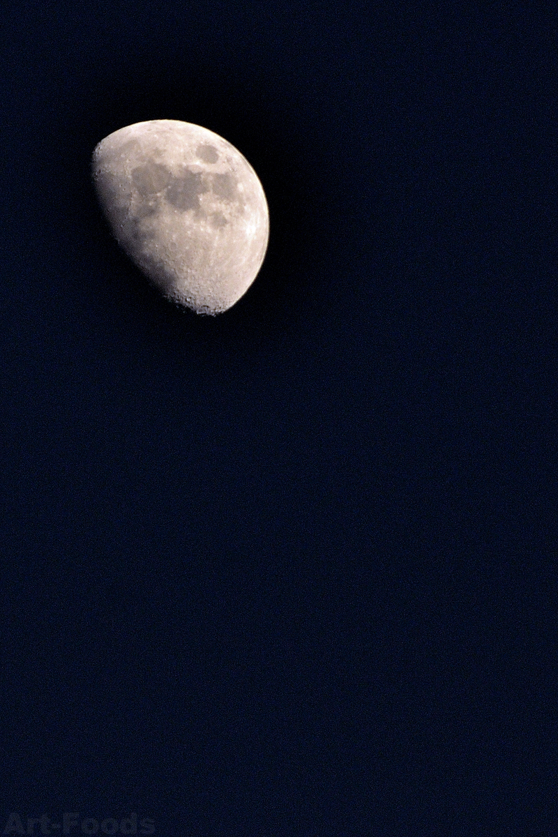 NewYearMoon_230101