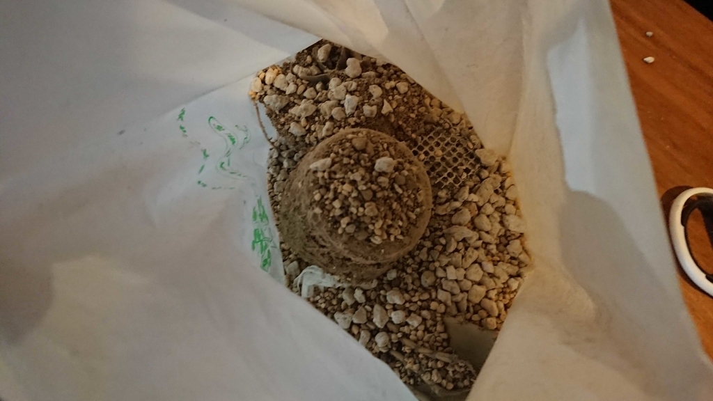 f:id:arthur_spoo:20190115151703j:plain