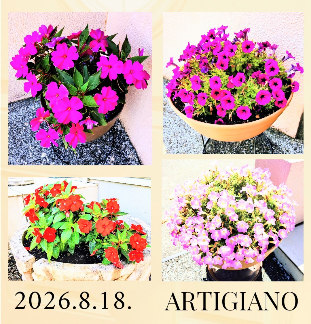f:id:artigiano:20260826143848j:image f:id:artigiano:20260826143848j:image