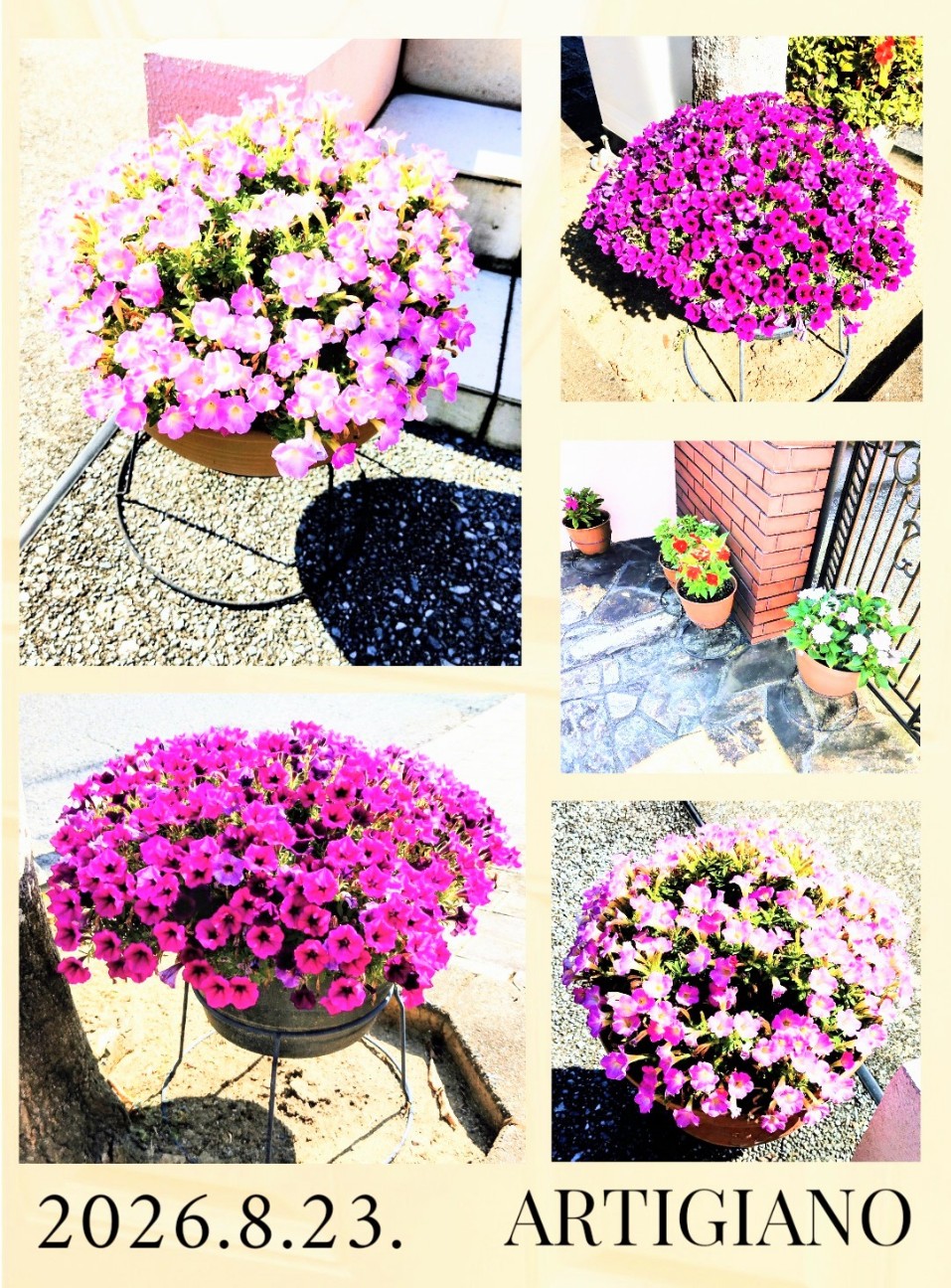 f:id:artigiano:20260827170556j:image f:id:artigiano:20260827170556j:image