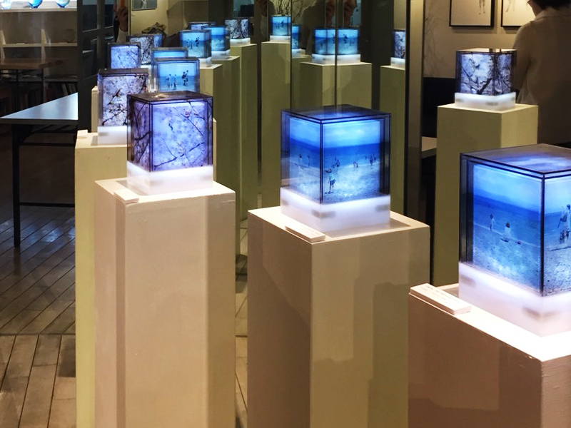 写真展 時は春