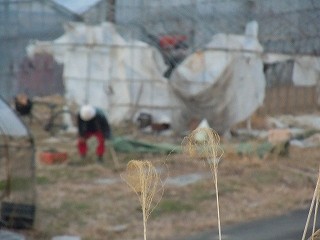 f:id:artkomoto:20110330123528j:image