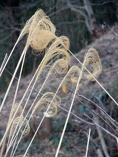 f:id:artkomoto:20110330123727j:image