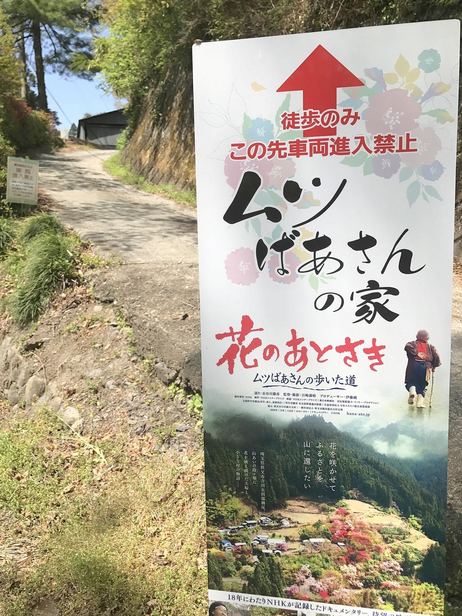 絶版 美品　『花のあとさき～あのときムツさんにきいたこと～』 花のあとさき ～あのときムツさんにきいたこと～ - 徳間書店