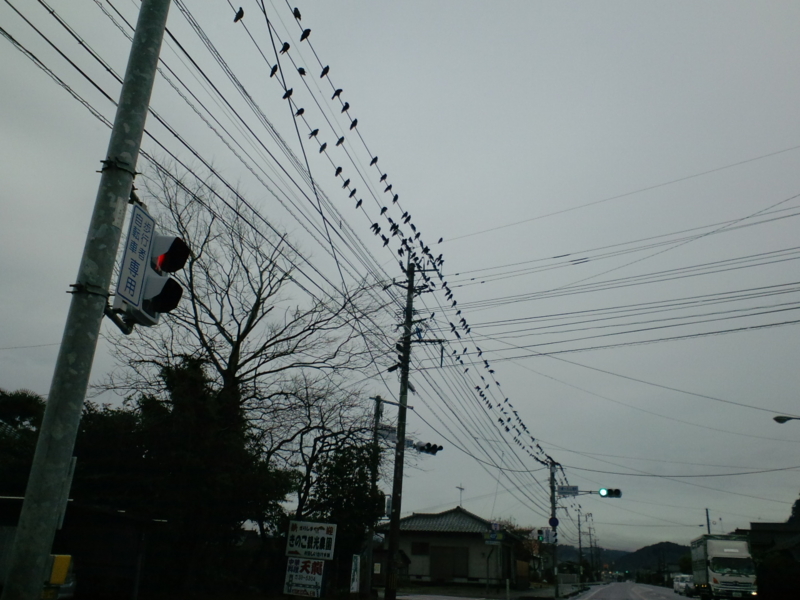 f:id:artoy1:20120215160015j:image:w360