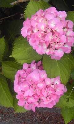 f:id:artoy1:20120605080614j:image:right