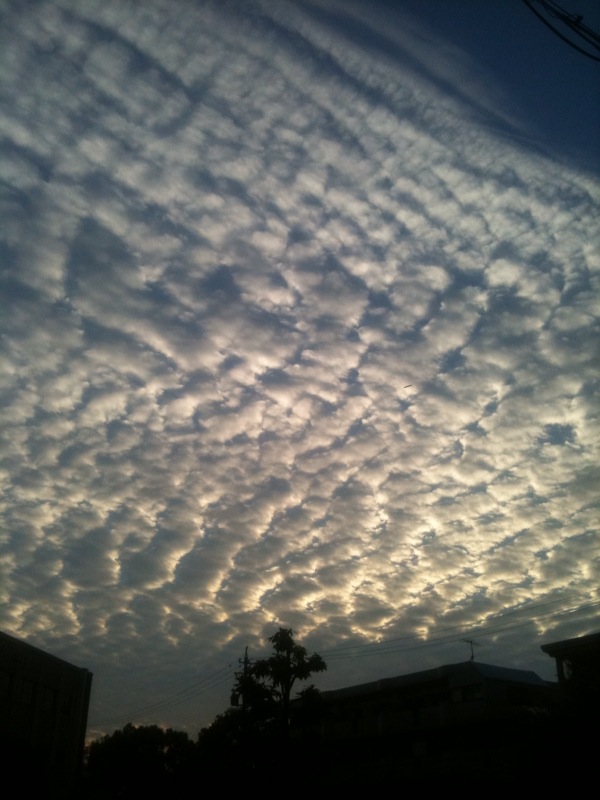 f:id:artoy1:20130930170735j:image:w640:left