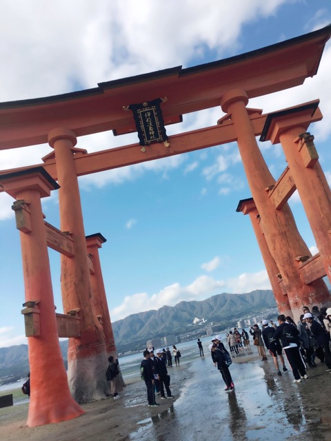 f:id:artoy1:20161112165116j:image f:id:artoy1:20161112165116j:image