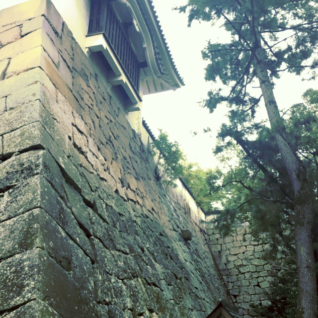 f:id:artoy1:20161114184432j:image f:id:artoy1:20161114184432j:image