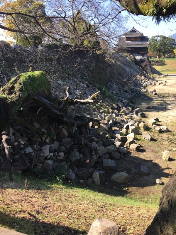 f:id:artoy1:20161116203852j:image