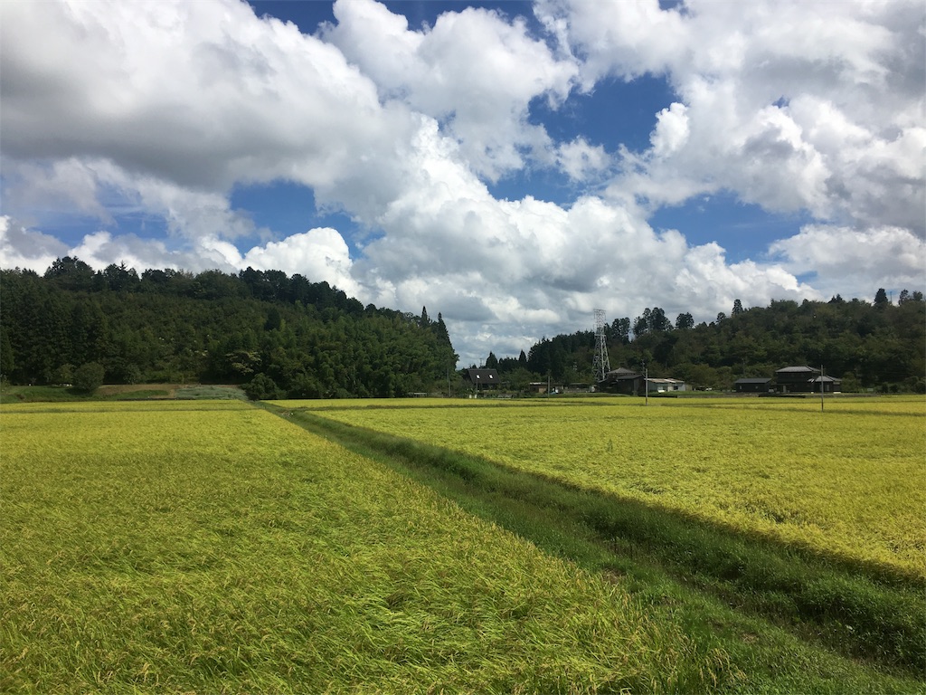 f:id:artoy1:20180911205949j:image