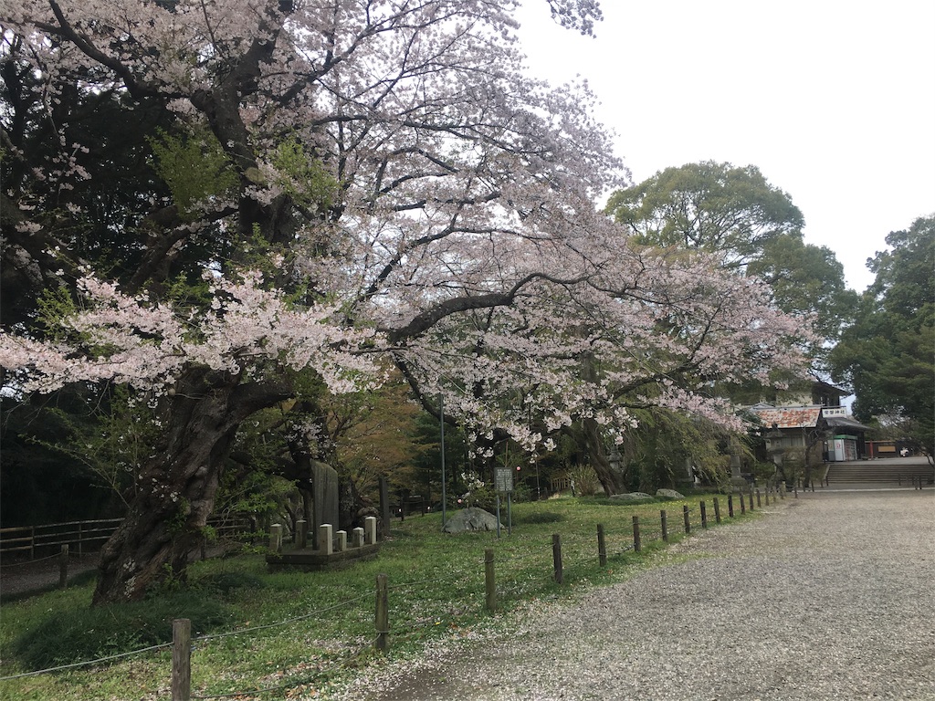 f:id:artoy1:20190413094753j:image