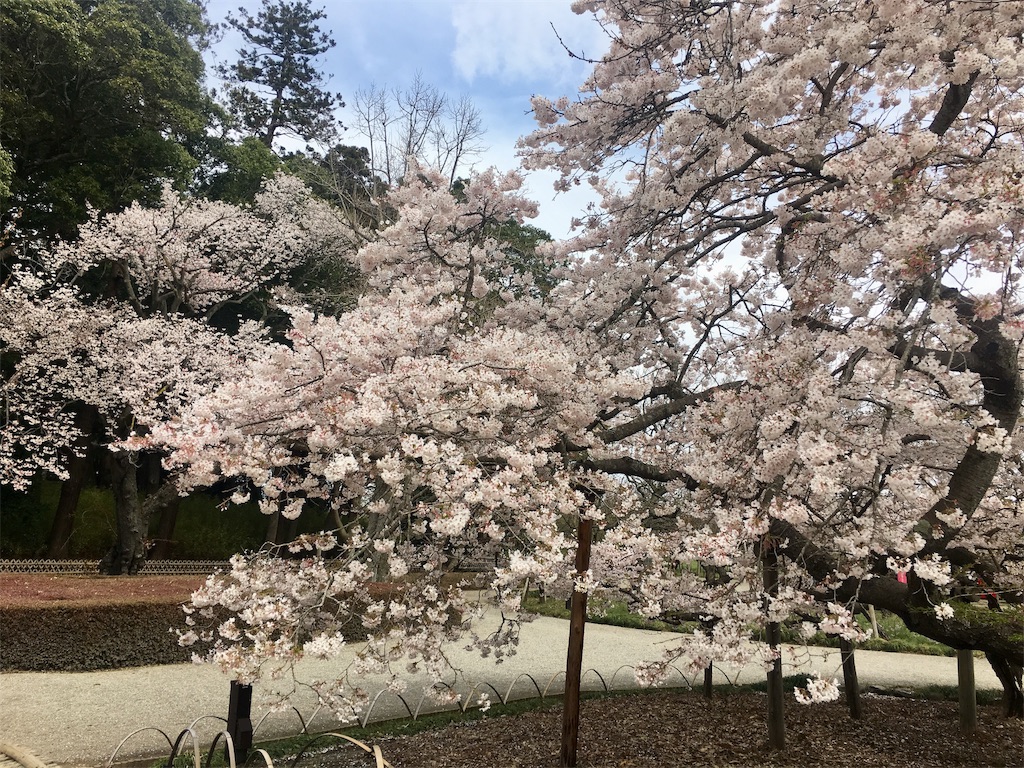 f:id:artoy1:20190413095627j:image