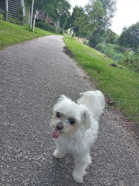 f:id:artrip:20250724195738j:image