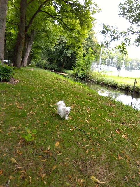 f:id:artrip:20250727033709j:image