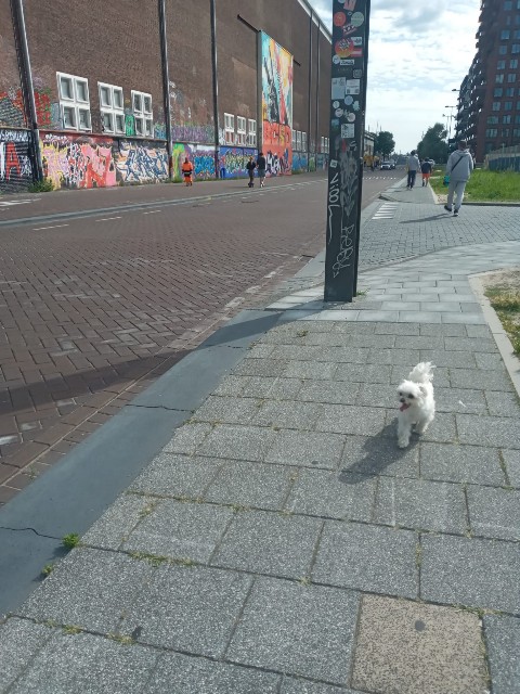 f:id:artrip:20250801024935j:image