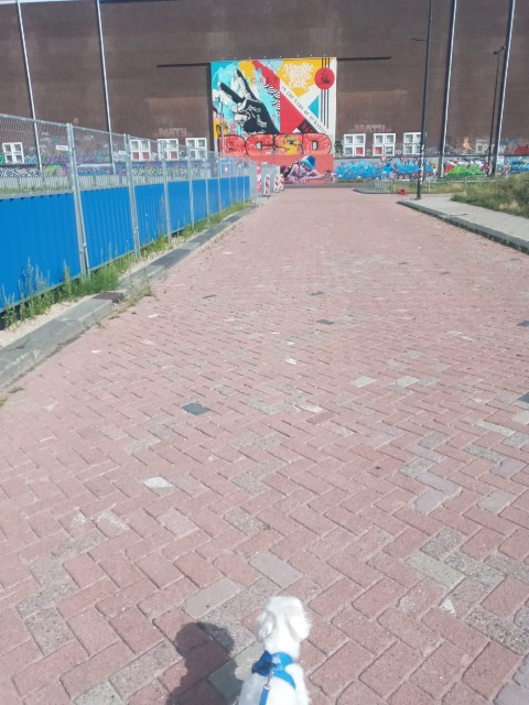 f:id:artrip:20250801025025j:image