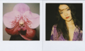 f:id:artscene:20120218082507j:image:medium