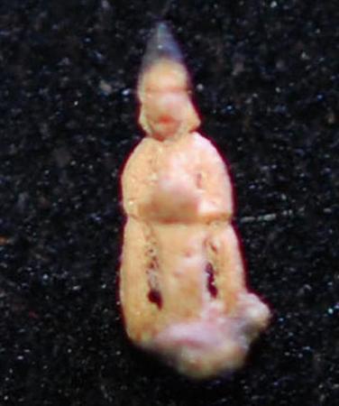 f:id:artscene:20120710072456j:image f:id:artscene:20120710072456j:image
