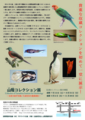 20140702185140