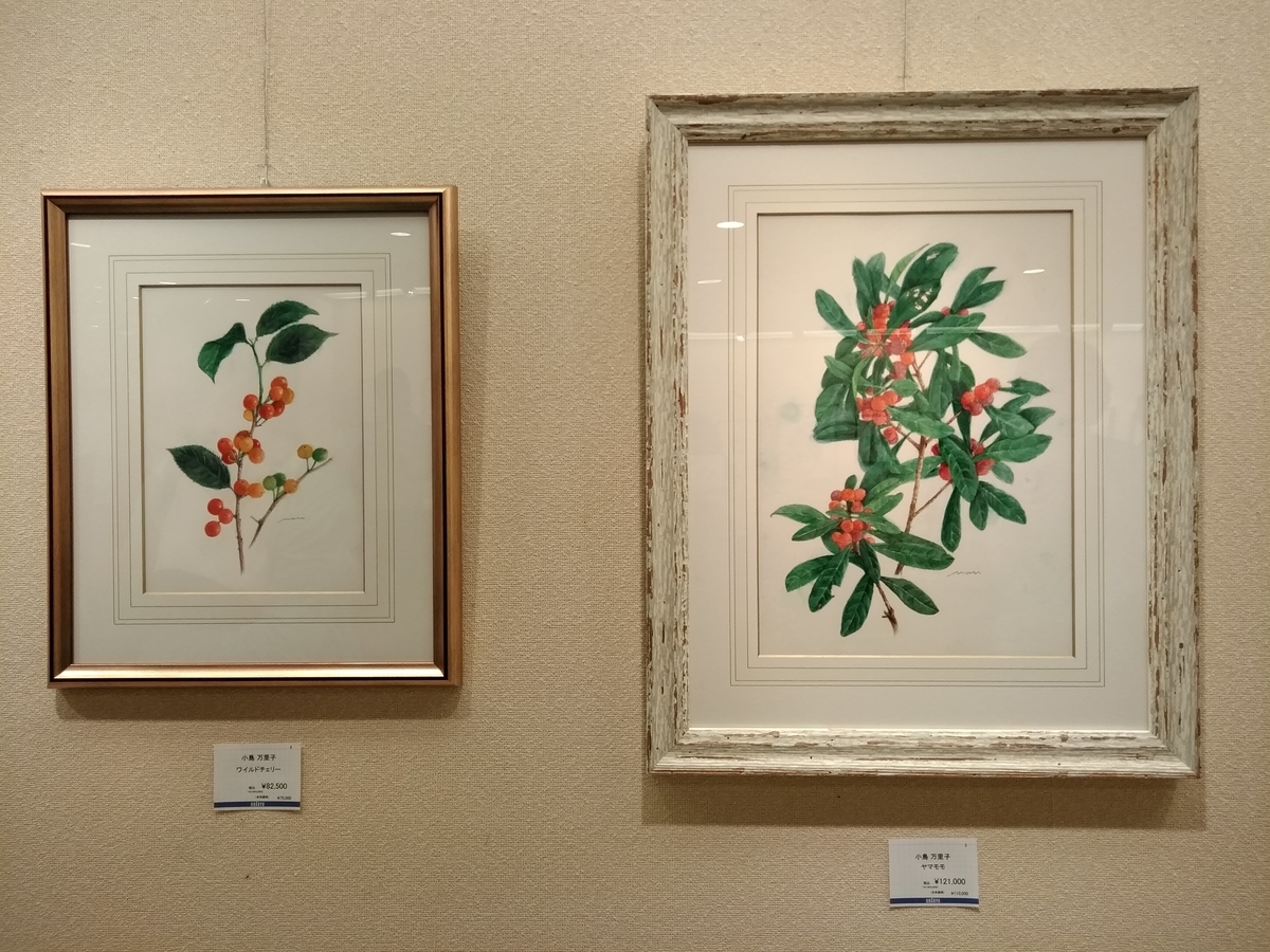小田急 新宿店 小島万里子先生のボタニカルアート 泉ゆりこの 素敵なアートタイム 小田急 新宿店 小島万里子先生のボタニカルアート 泉ゆりこの 素敵なアートタイム