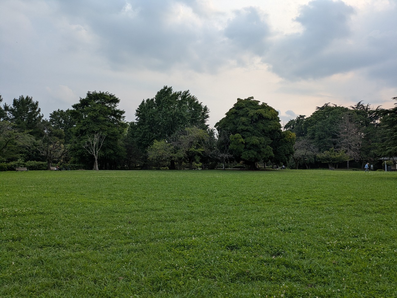 f:id:aruaradio:20260717110132j:image