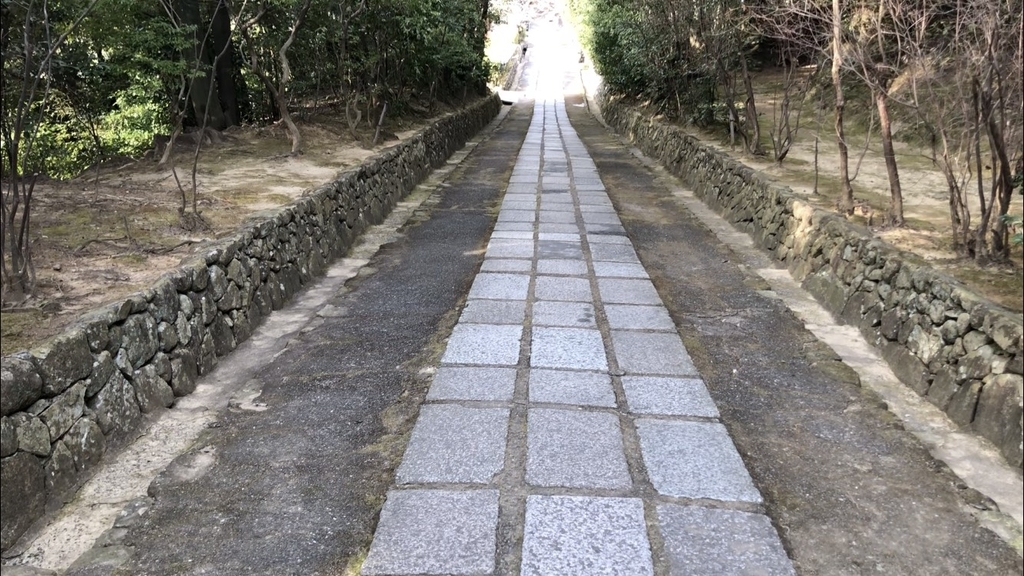 f:id:aruaru-ed-play:20190227014944j:plain f:id:aruaru-ed-play:20190227014944j:plain