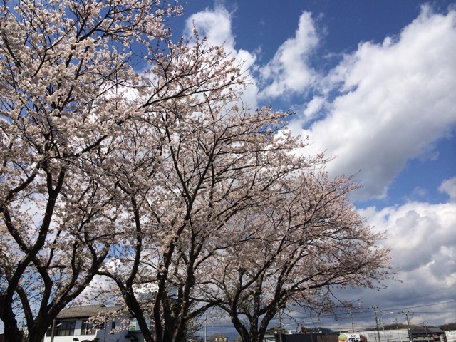 f:id:arubekiaji:20150302093643j:plain f:id:arubekiaji:20150302093643j:plain