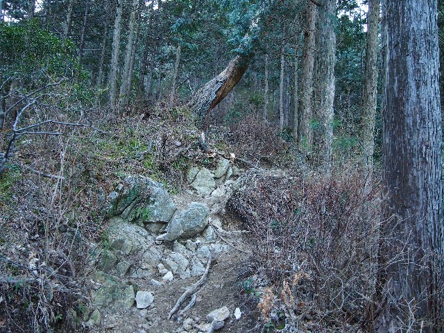 f:id:arucu:20180128094119j:image