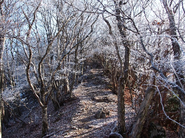 f:id:arucu:20180128102725j:image