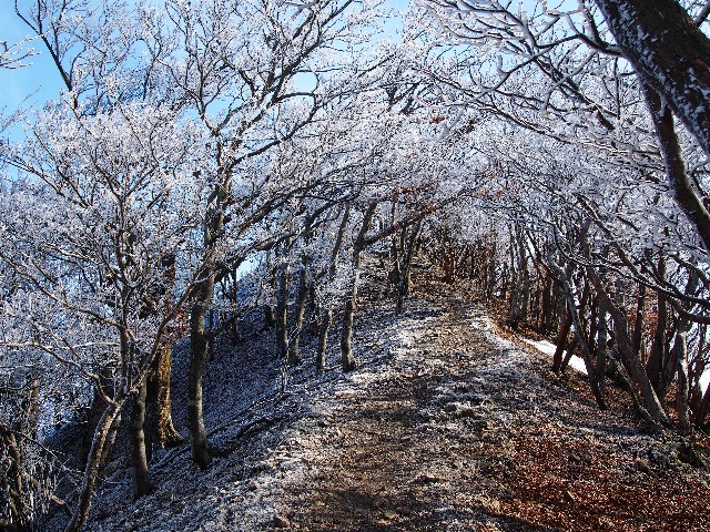 f:id:arucu:20180128104950j:image