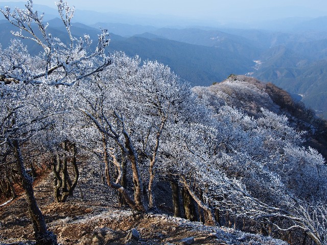 f:id:arucu:20180128221332j:image