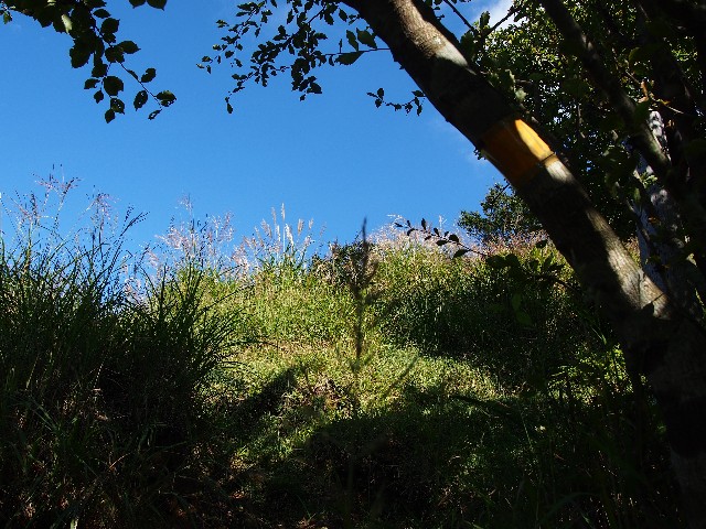 f:id:arucu:20180926013354j:image
