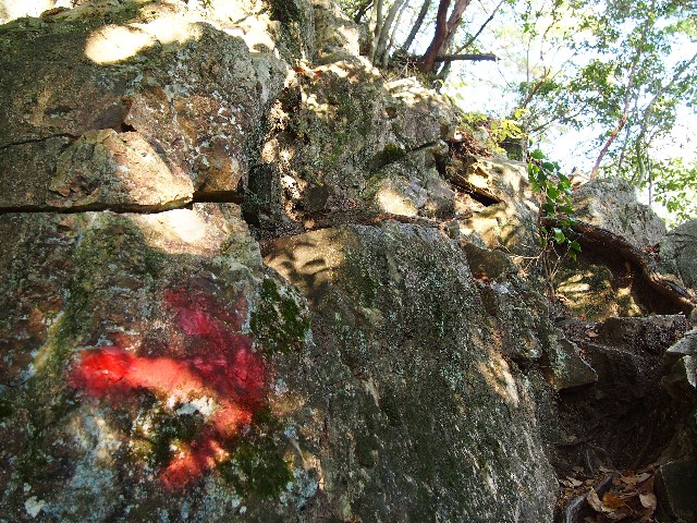 f:id:arucu:20181123141735j:image