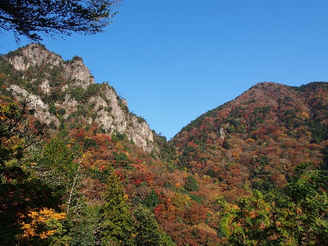 f:id:arucu:20181123141903j:image