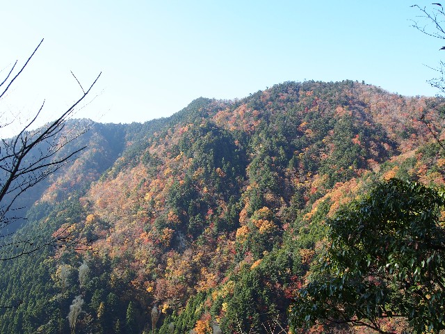 f:id:arucu:20181123155025j:image