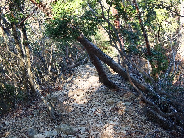 f:id:arucu:20181123161400j:image