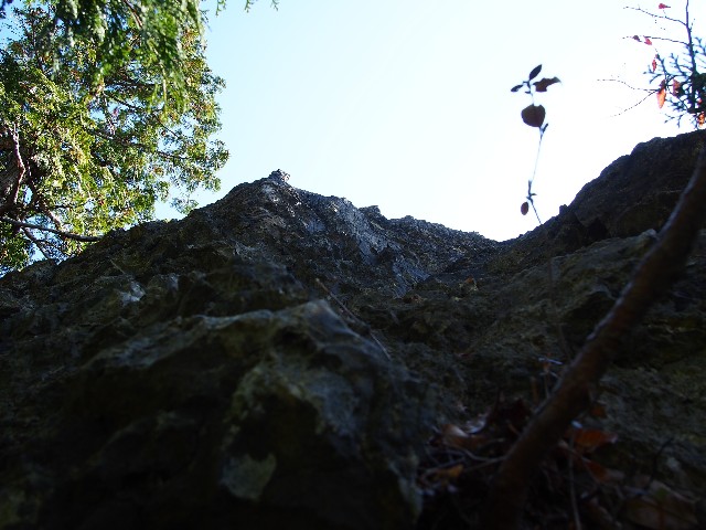 f:id:arucu:20181123162001j:image