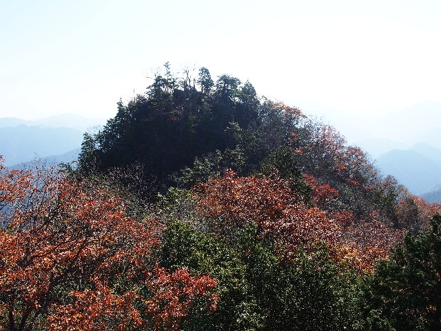 f:id:arucu:20181123162344j:image
