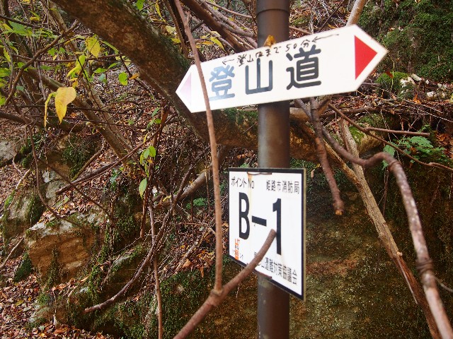 f:id:arucu:20181123192035j:image