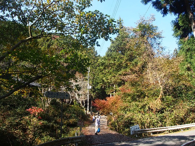 f:id:arucu:20181123200210j:image