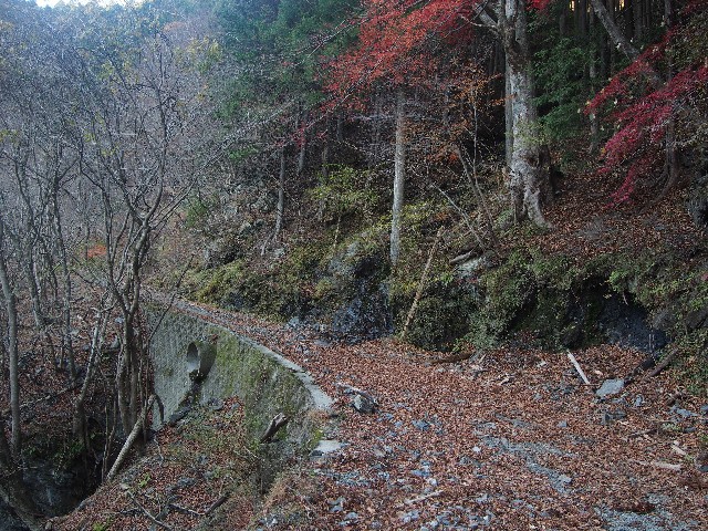 f:id:arucu:20181125204727j:image