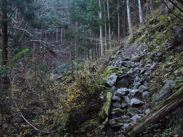 f:id:arucu:20181125210644j:image