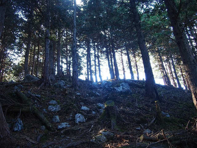 f:id:arucu:20181125221915j:image