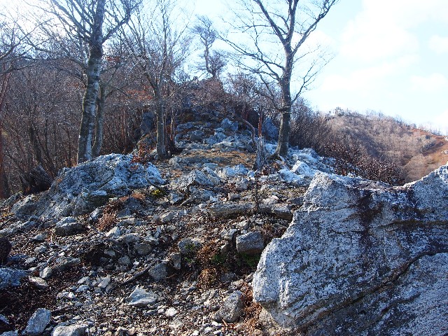 f:id:arucu:20181125225738j:image