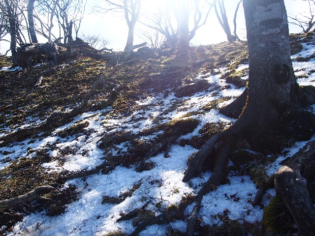 f:id:arucu:20181125230505j:image